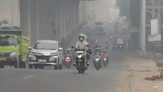 Kabut Asap Mengancam Kesehatan Mata, dari Iritasi hingga Mata Kering