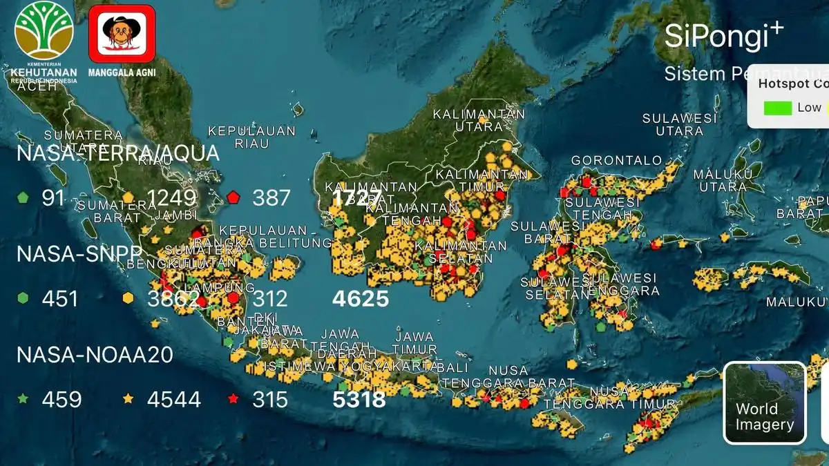 Karhutla Berulang, Penanganan Dipusatkan di Tujuh Provinsi Prioritas