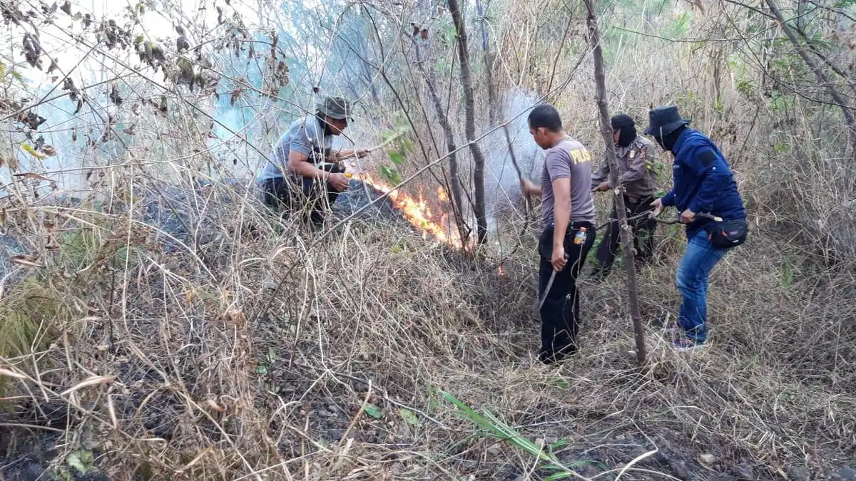 Target Penguatan Polisi Hutan: Dari Sekitar 4.500 Menuju 21.000 Personel pada 2027